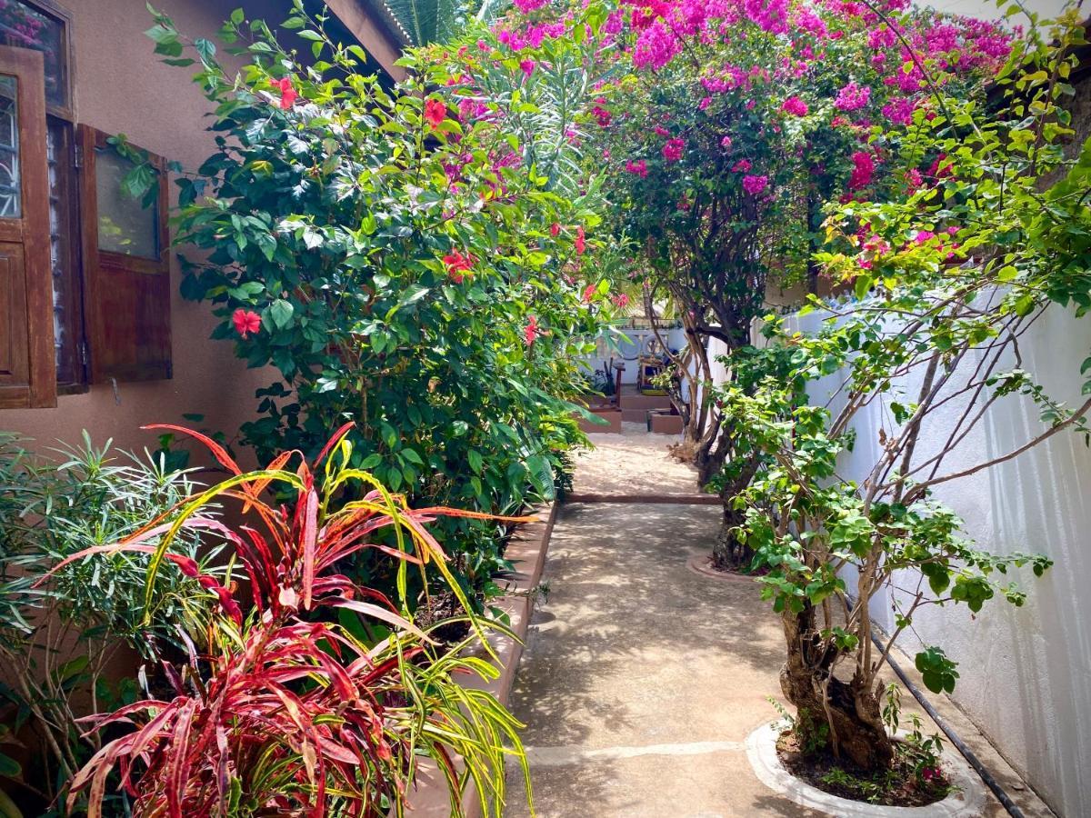 Villa Orchid Beach Guest House Бвейю Екстер'єр фото